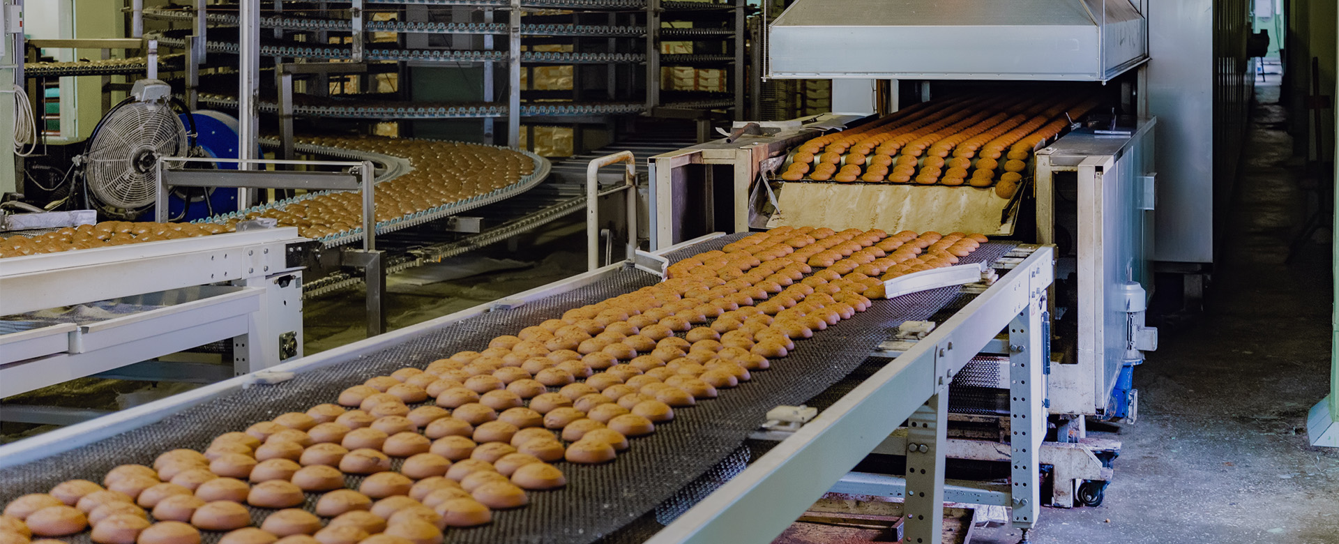 Food Processing & Packaging