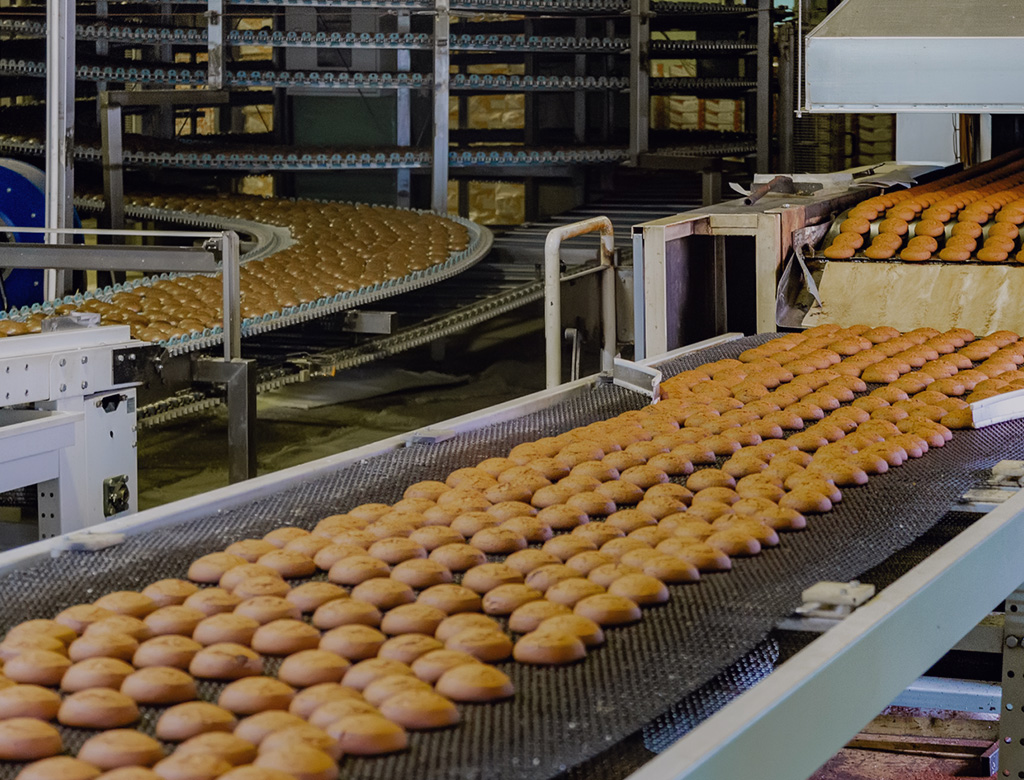Food Processing & Packaging