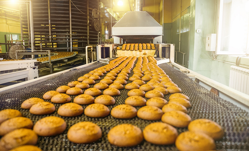Food Processing & Packaging